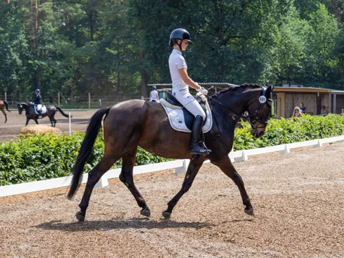 Reiten im Allwetter Dressurviereck auf Hof Feldmann